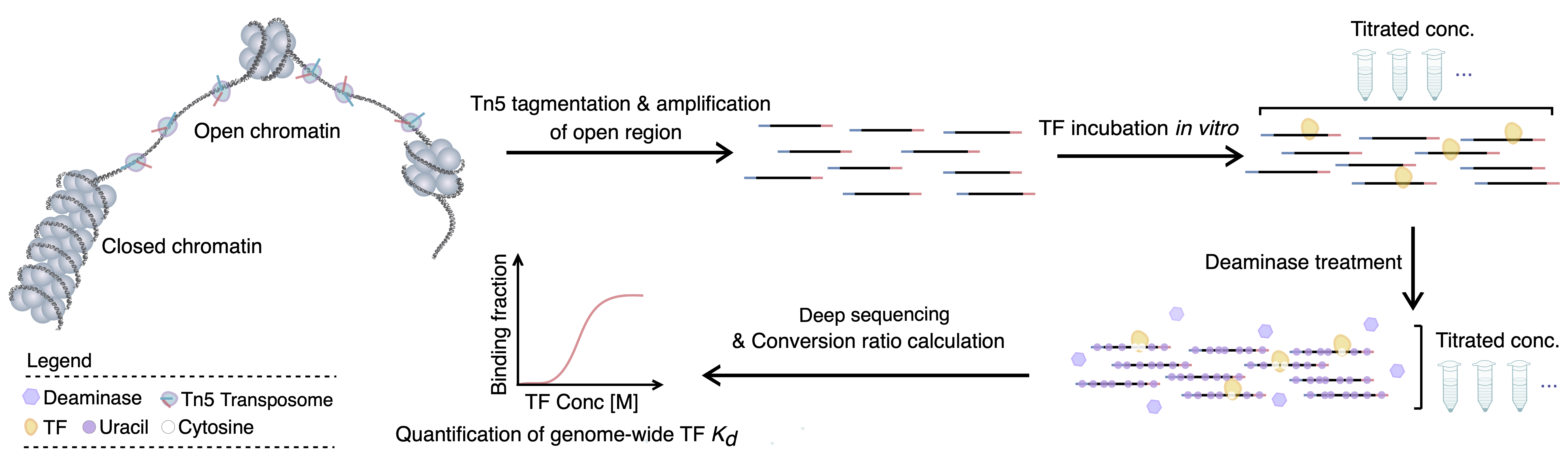 invitroFOODIE_Workflow